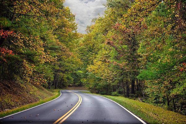 Looney, Hollice 아티스트의 USA-Virginia-Shenandoah National Park-fall color along Skyline Drive작품입니다.